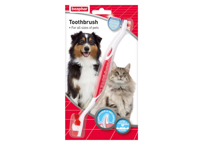 CEPILLO DIENTES GATO-PERRO