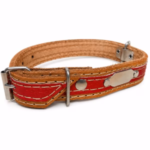 Collar Bicolor Extra 1" Mascotas Baier