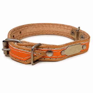 Collar Bicolor Extra 3/4" Mascotas Baier