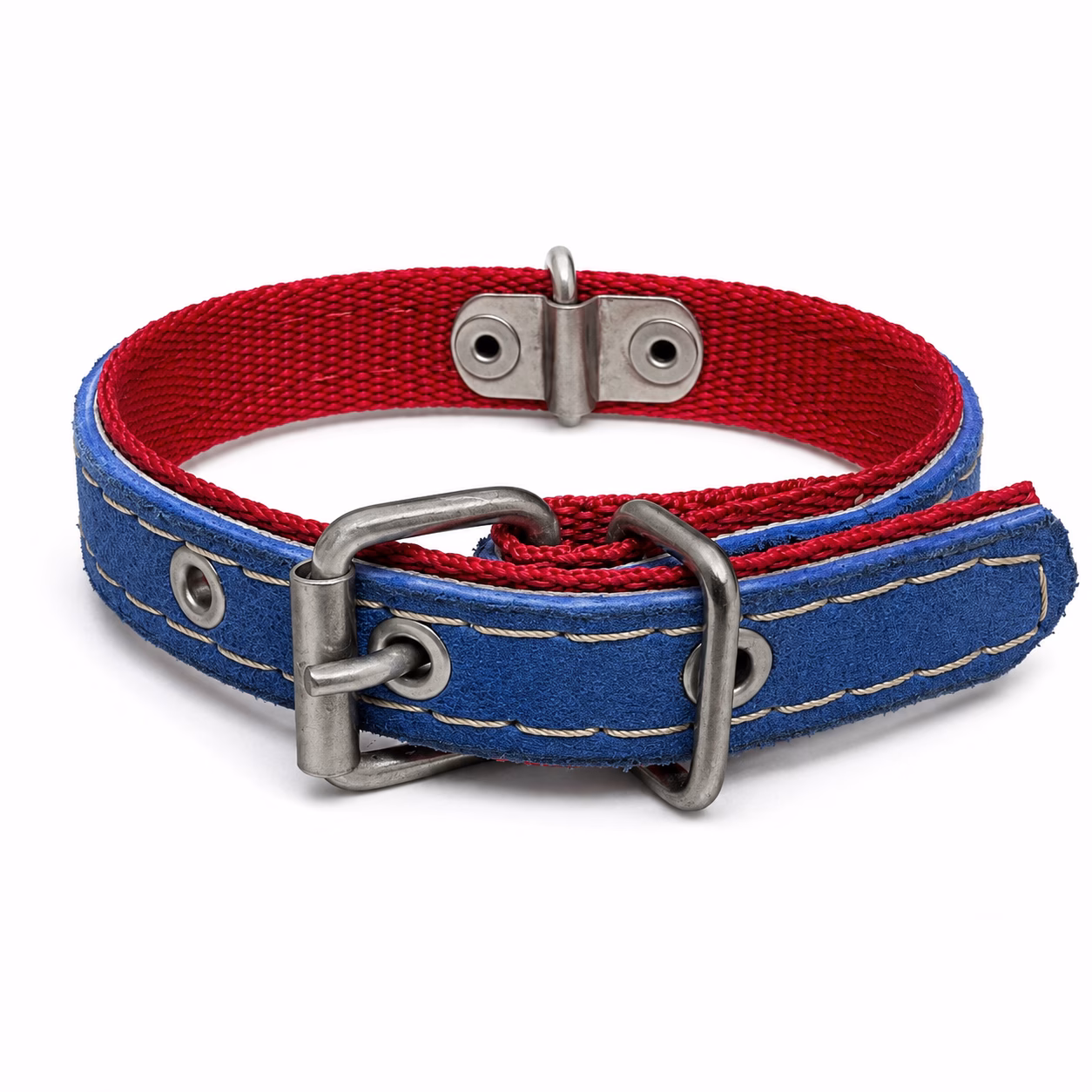 Collar Especial 3/4" para Perro y Gato