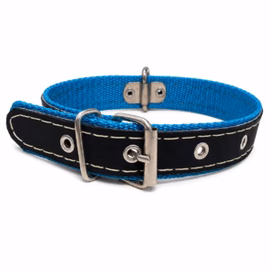 Collar Especial 1" Mascotas Baier