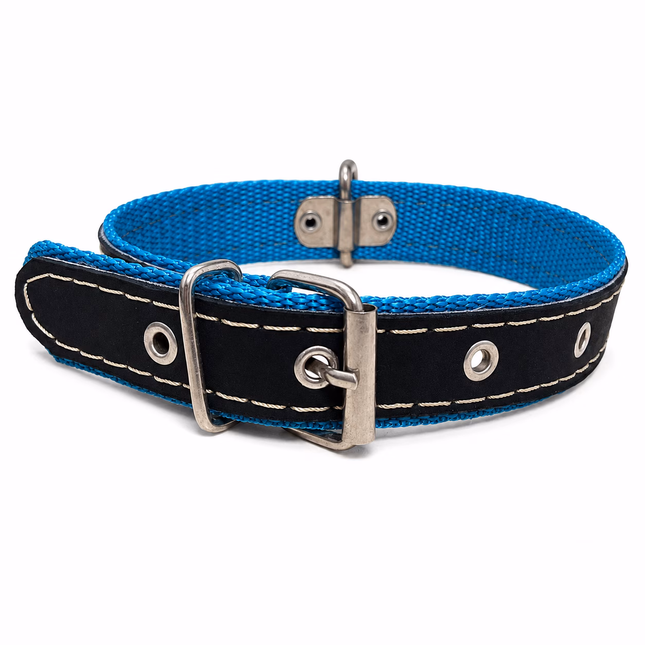 Collar Especial 1" para Perro y Gato