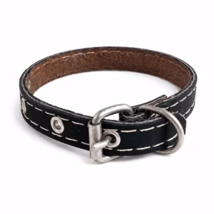 Collar Especial 1/2" Mascotas Baier