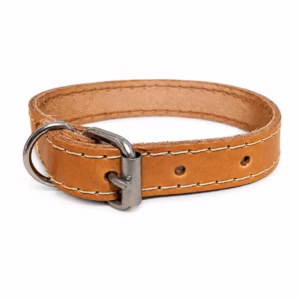Collar Natural 3/4" Mascotas Baier