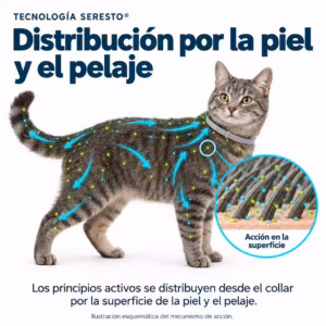 Alternative view of Collar Antiparasitario Seresto para Perro y Gato hasta 8 kg 38cm