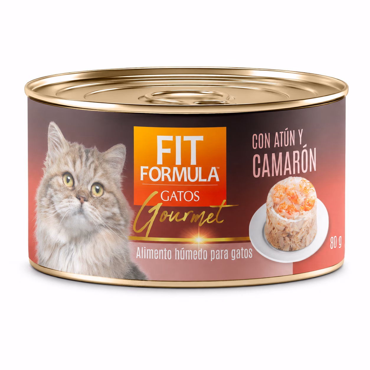FIT LATA GATOS CAMARON