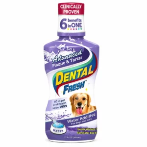 DENTAL FRESH ORIGINAL  503 ML