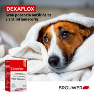 Alternative view of DEXAFLOX 5ML
