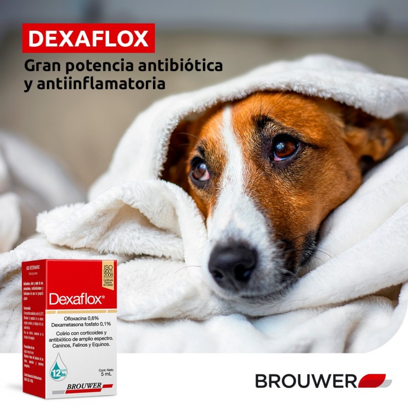 DEXAFLOX 5ML - Imagen 2
