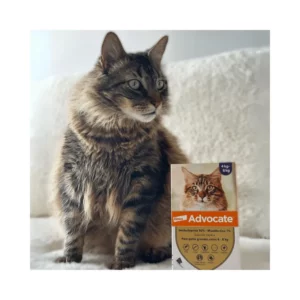 Alternative view of ADVOCATE GATO 0.8 ML 4-8 KG