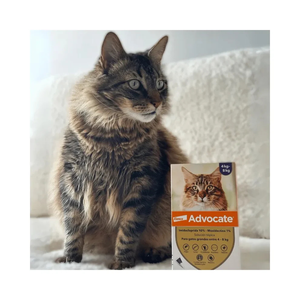 ADVOCATE GATO 0.8 ML 4-8 KG - Imagen 2