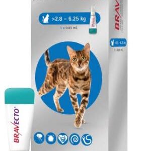 BRAVECTO PLUS GATO 2.8 A 6.25 KG