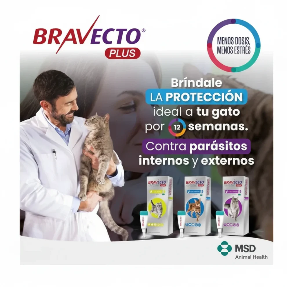 BRAVECTO PLUS GATO 2.8 A 6.25 KG - Imagen 2