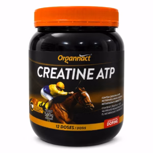 CREATINE ATP 500gr.